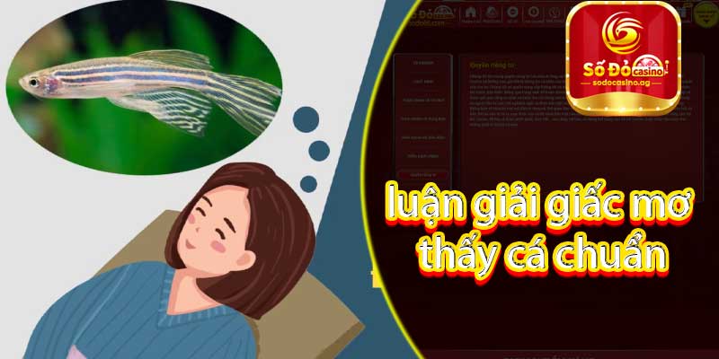 Luận giải giấc mơ thấy cá chuẩn